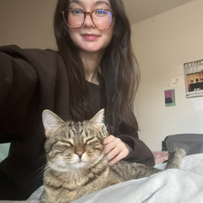 debbie ʕ•ᴥ•ʔ