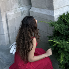 Amee Mehta