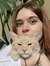 Andreea