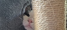 Sebastian
