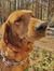 Ellia Rush