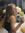 natalie | 6 comments