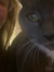 pip &#x...