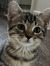 Tabitha...