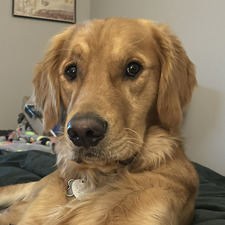 Gretchen Steffensmeier