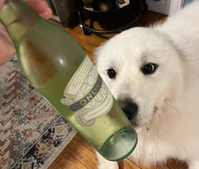 Miranda Fleishhacker