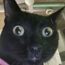 Caroline