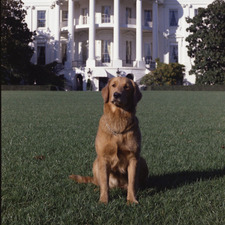 Ryan Lang-Antonopoulos