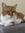 member photo member photo