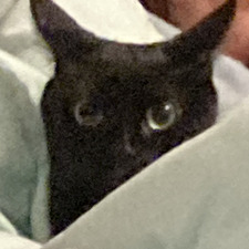 Mili