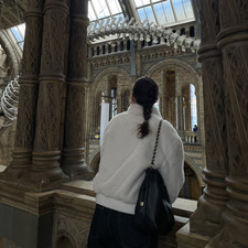 Paula (Taylor‘s Version)