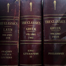 luna ⋆｡ ﾟ☾ ﾟ｡⋆