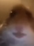 Remi boi