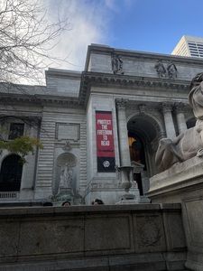 lilli&#x1f408;‍⬛