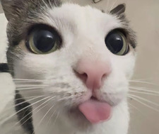 Ricardo