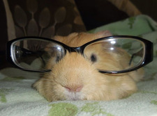 ✧ ೃ༄ kiley ✧˖*°࿐