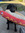 Maddy