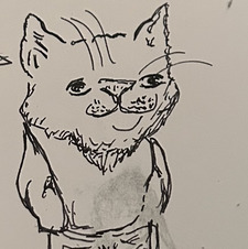 Ayden