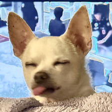 K8