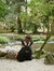 zenzen