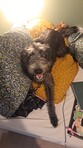 Rosie