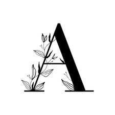 Andra