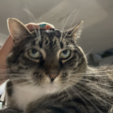 Sam