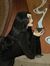 reader. kore