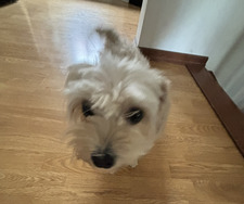 &#x1f33c;Vera&#x1f33c;