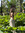 member photo member photo