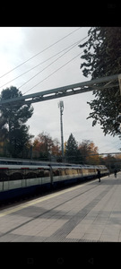 Ingrid ✧⁠*⁠。⁠♡