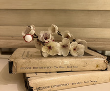 Aisle of Misfit Books