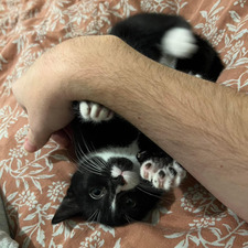 Kal
