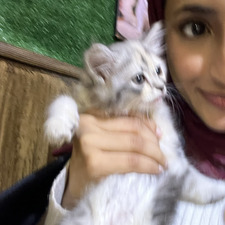 لَارَا ⁺₊ᰔ