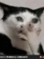 Jenny S...