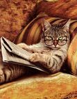 MagicaCat