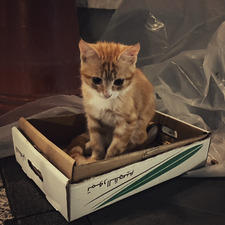 رخسار ⋆ ౨ৎ ⋆ rukhsar