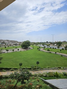 Moayed Hassan