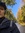 Anna Brogren  | 1 comments