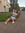 Meike