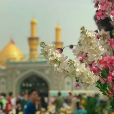 فاطِمة✨