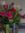 Seri | 3 comments