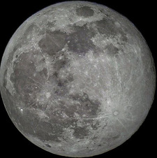 Mara