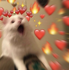 Ylda sometimes reads