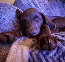 Brooke Powers-Rueter