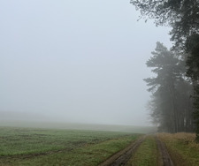 NotRaskolnikov