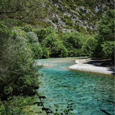 Tilemachos Dimopoulos