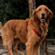 Hello, this is Patrick.