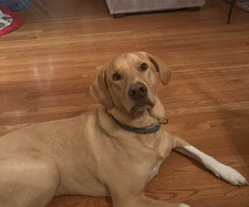 Ben