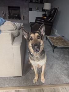 Sara